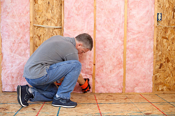 Best Professional Insulation Contractor  in Cedar Crest, MA